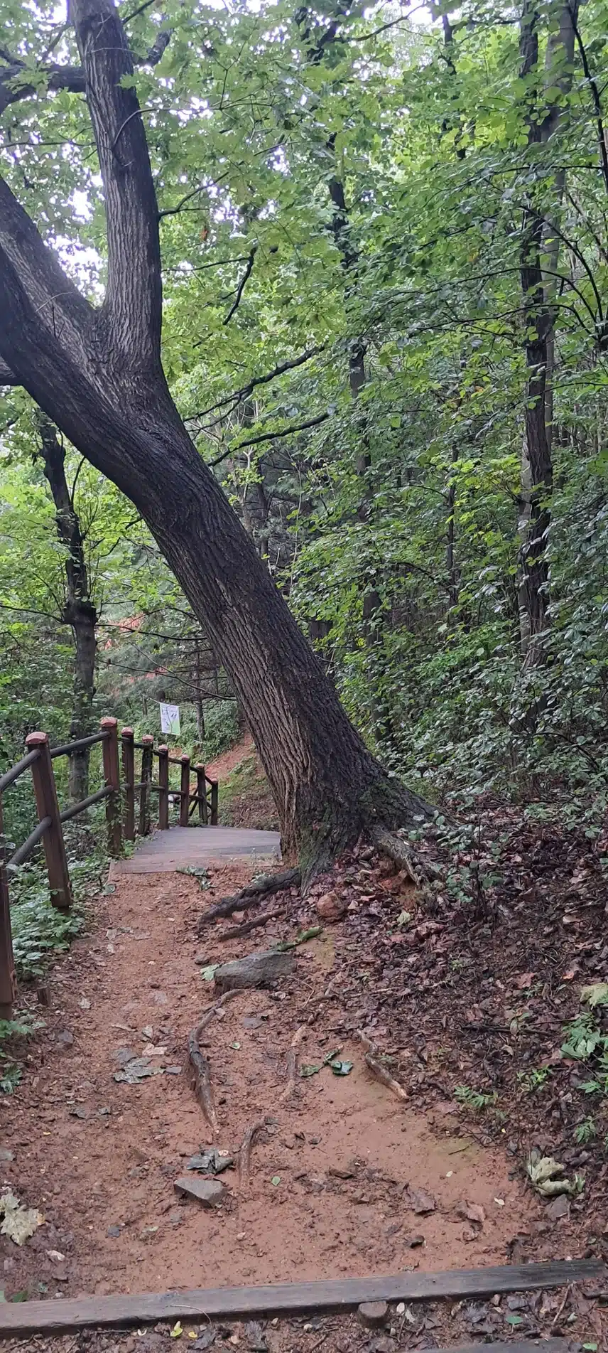 산길