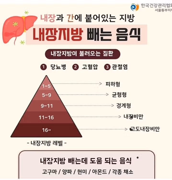 내장지방 줄이는 방법~