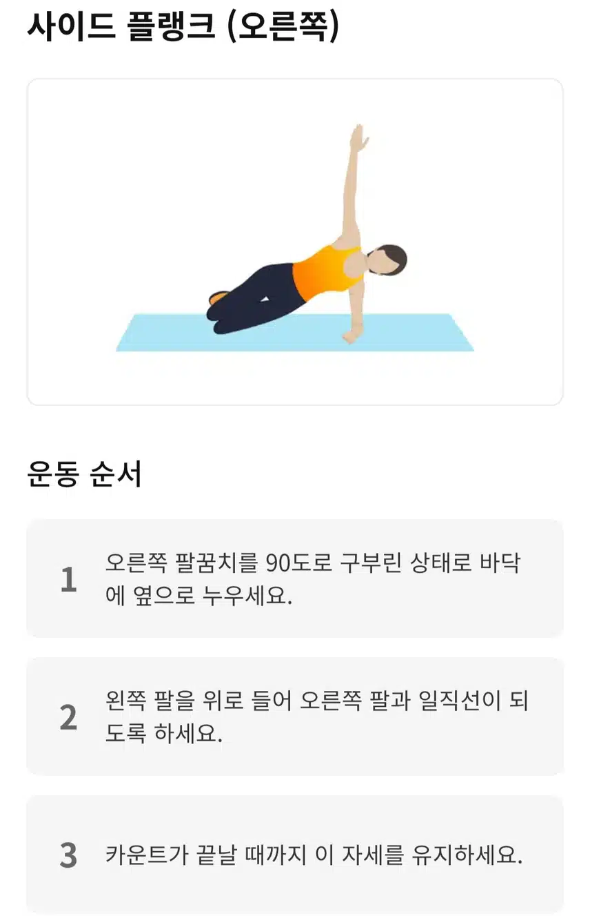 옆구리 플랭크 전신 홈트