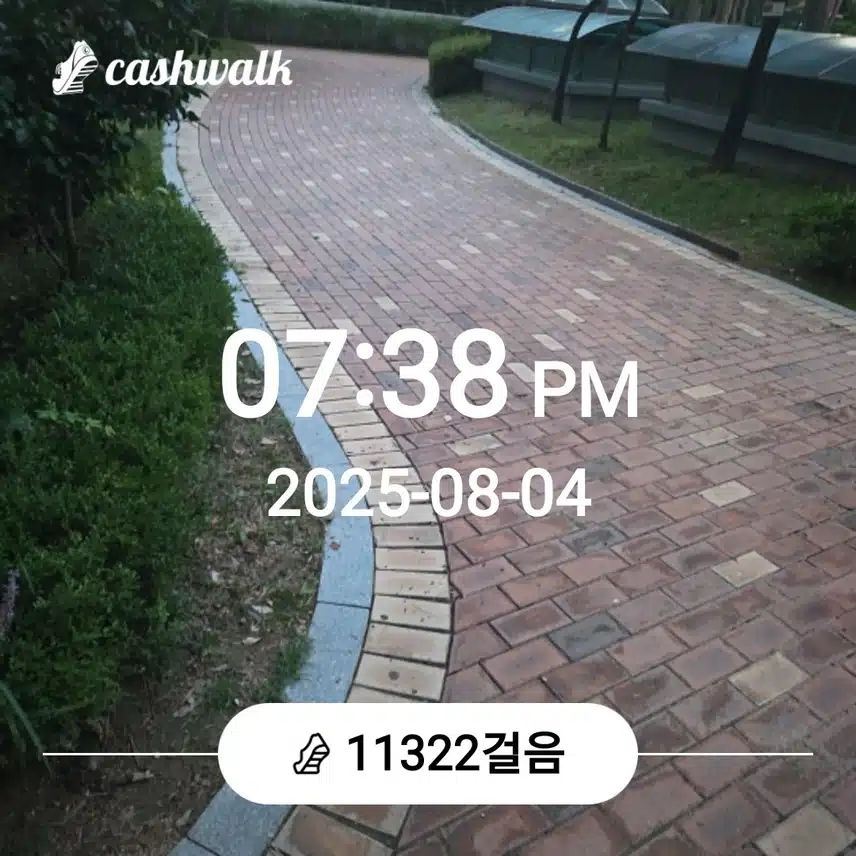 오늘도 만보걷기를......