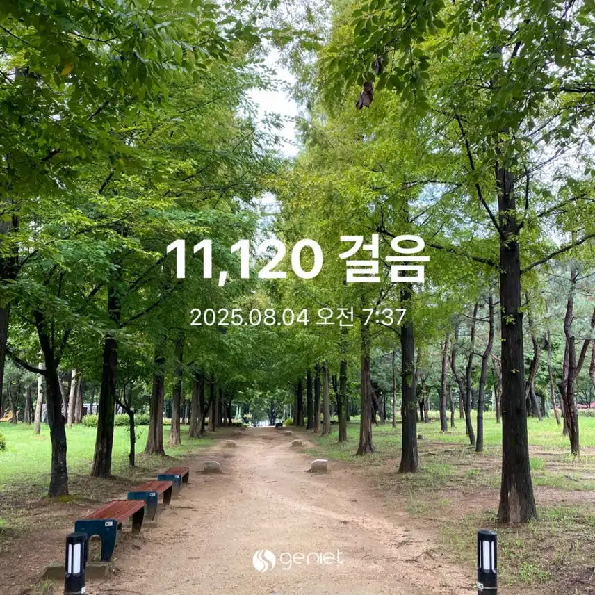 월요일 새벽 운동