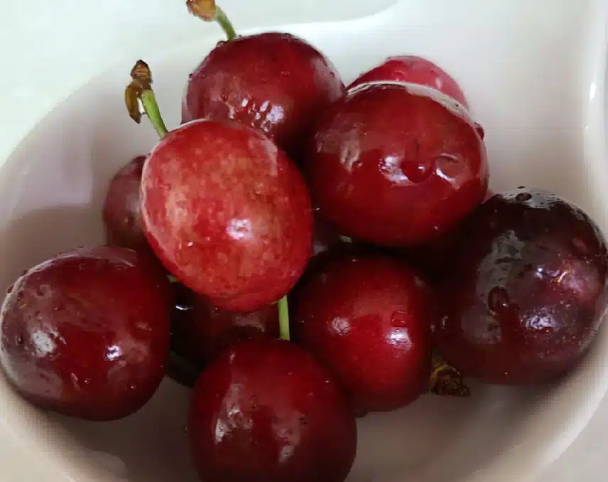 새콤달콤 체리 🍒 