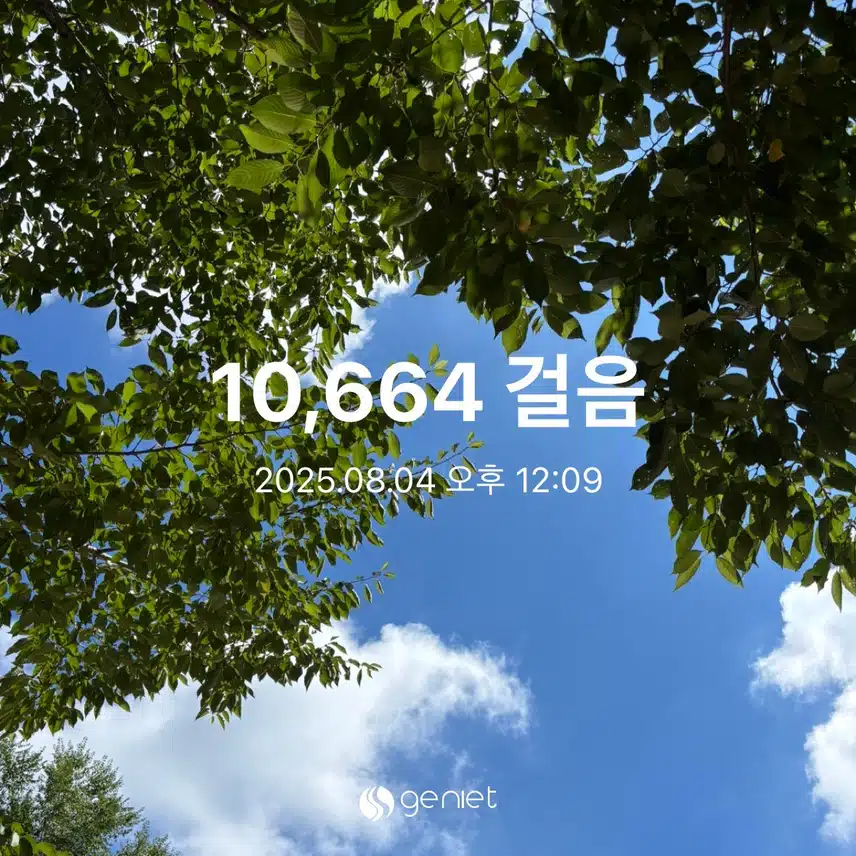 만보걷기에 좋았던 날