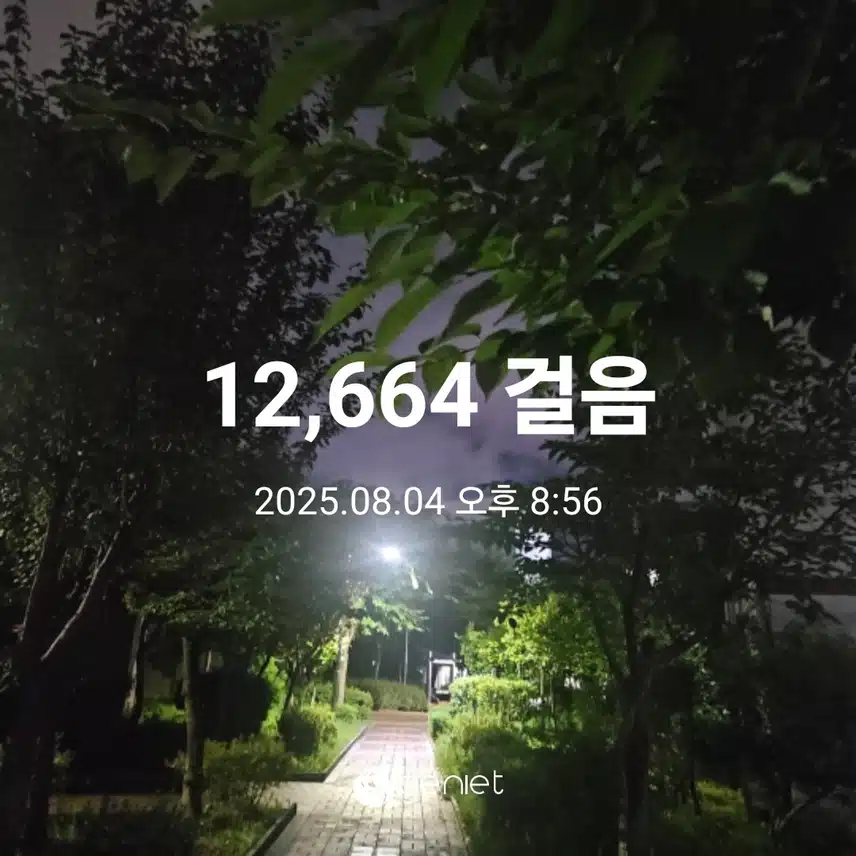 식후 산책으로 🏃