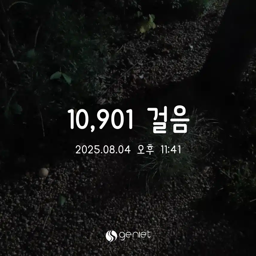 월 만보