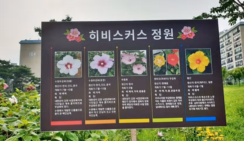 대한민국의 국화 여름꽃 '무궁화' 명소 소개해드릴게요