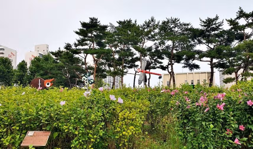 대한민국의 국화 여름꽃 '무궁화' 명소 소개해드릴게요