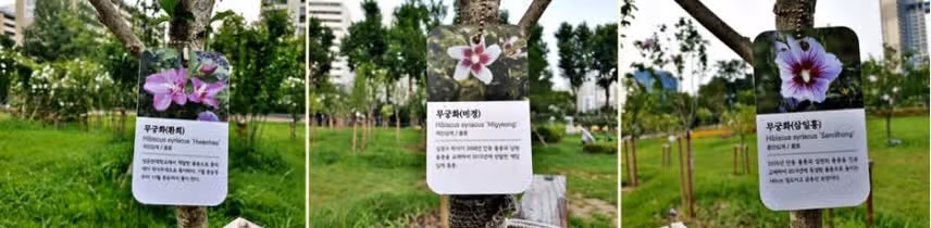 대한민국의 국화 여름꽃 '무궁화' 명소 소개해드릴게요