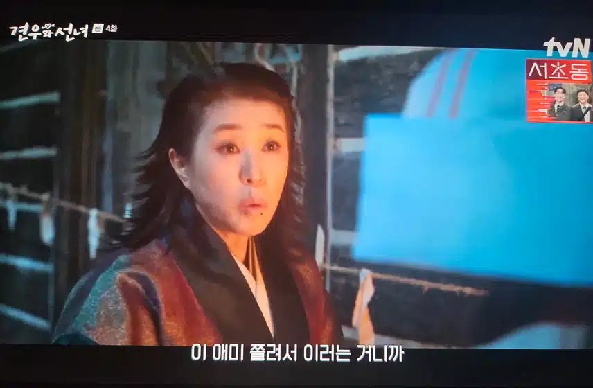신어머니 말을 강하지만
