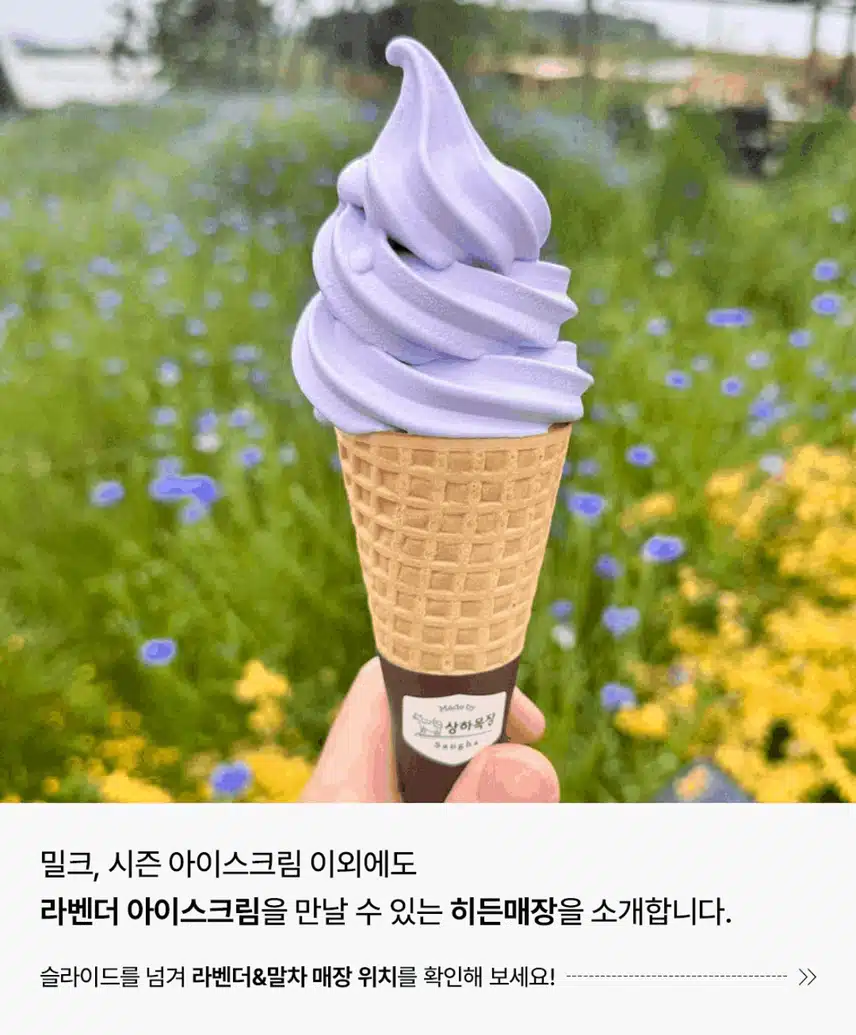 일부 매장에서만 판매 중이라는 폴바셋 라벤더 아이스크림