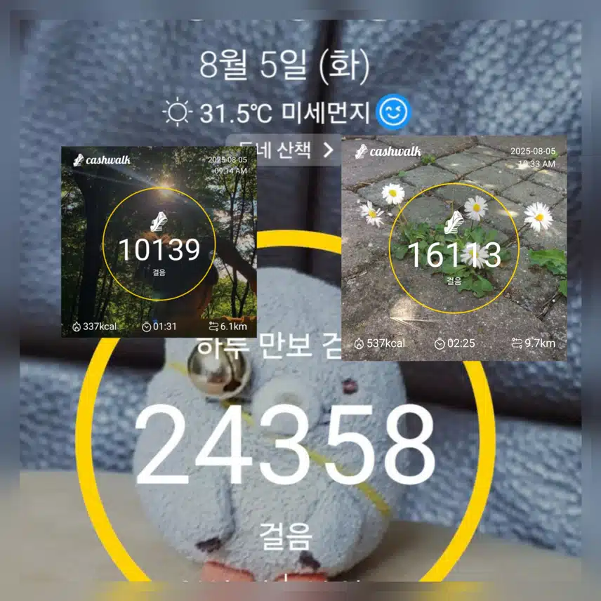 힘이 💪불끈불끈 만보걷기 완료 했어요 ~🤣