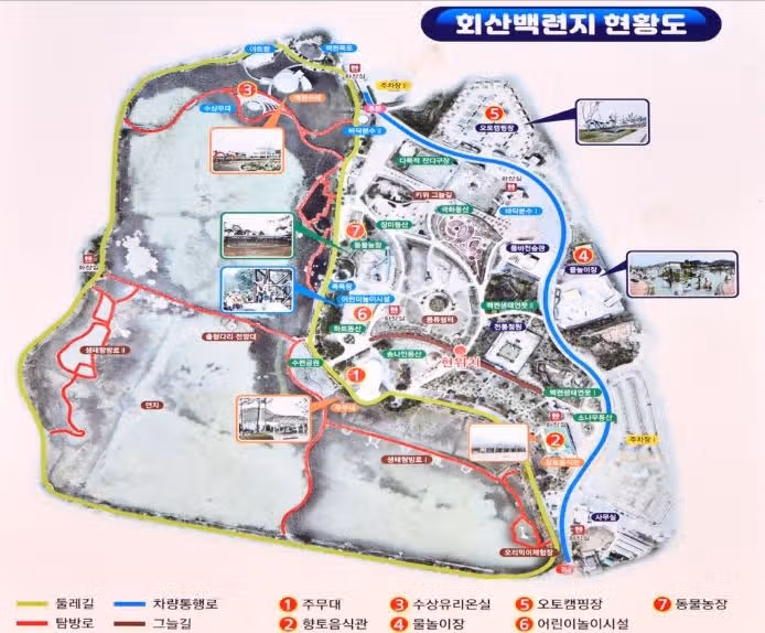 기네스북에 오른 여름 연꽃 명소 '무안 회산백련지'