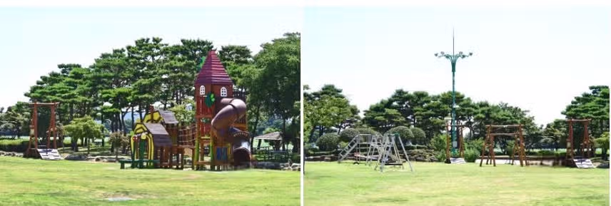 기네스북에 오른 여름 연꽃 명소 '무안 회산백련지'