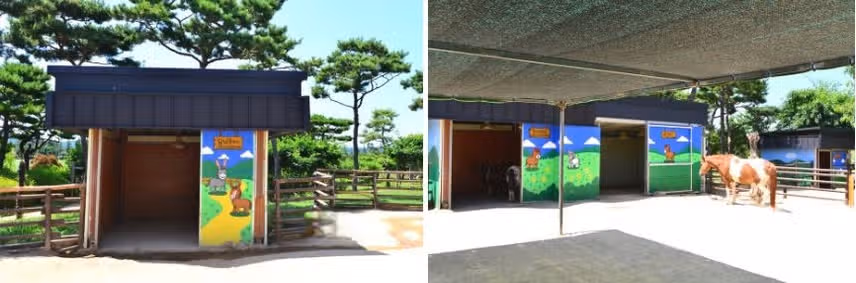 기네스북에 오른 여름 연꽃 명소 '무안 회산백련지'
