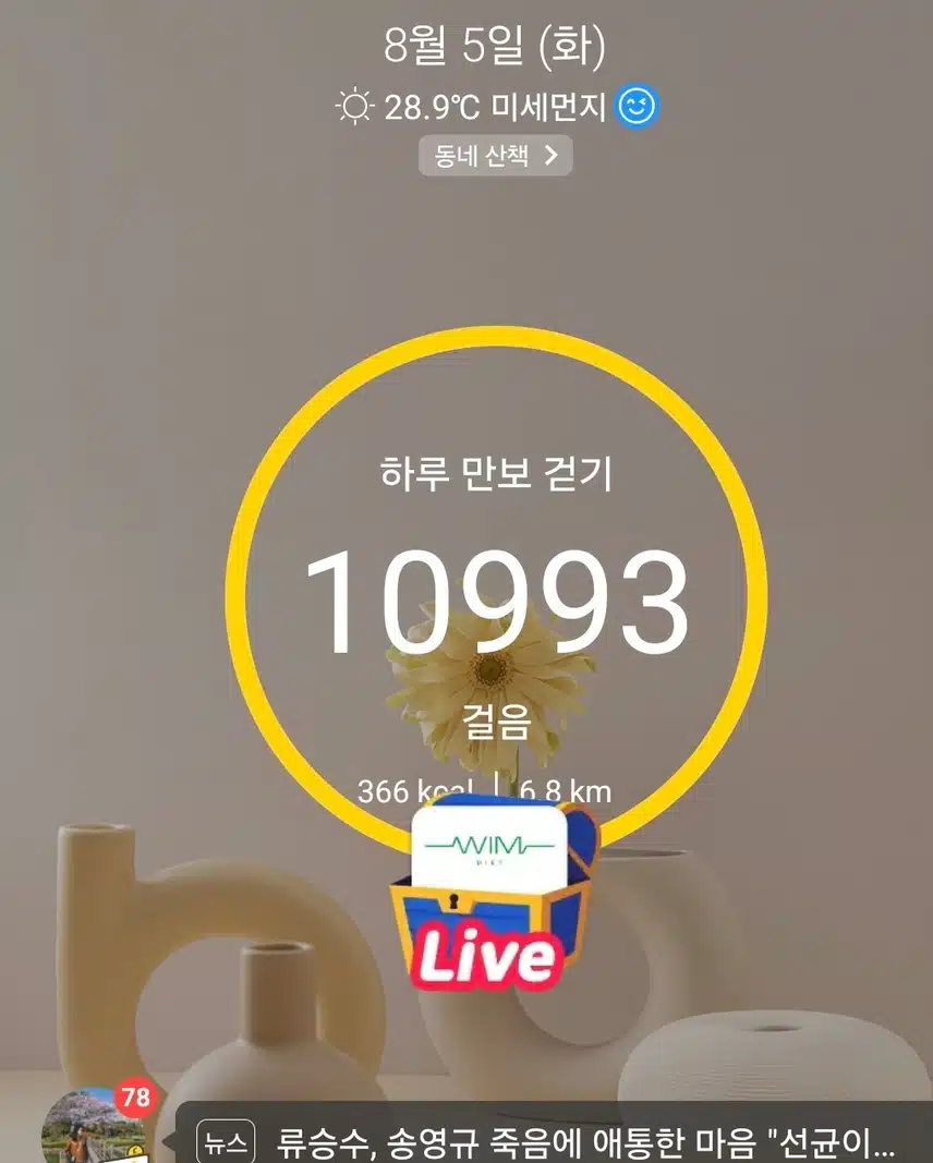 1만보 걷기