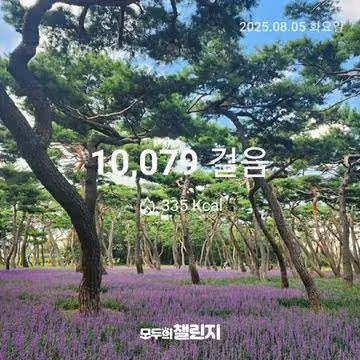 8월 5일 만보 완주 