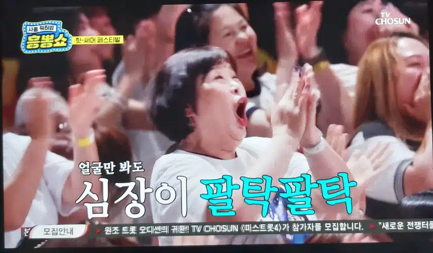 핫써머 페스티벌 심장이 팔딱팔딱했어요