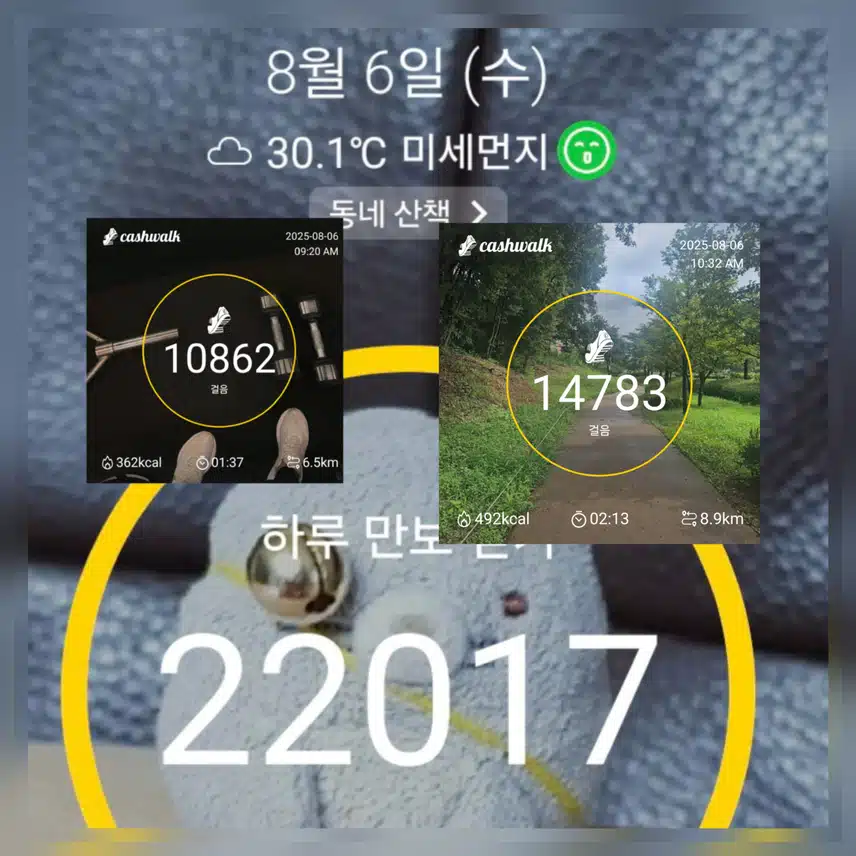 오전일찍 목표만큼 걷기운동 완료 ~💕