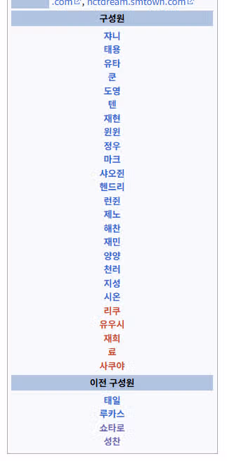 다들 엔시티 멤버들 다 알고 이름이랑 외우시나요ㅠㅠ 저는 반도 모르는 것 같아요