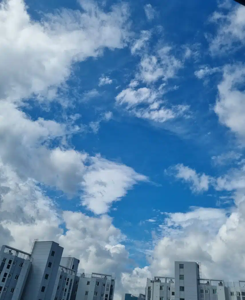    오늘도 만보걷기 새벽운동 