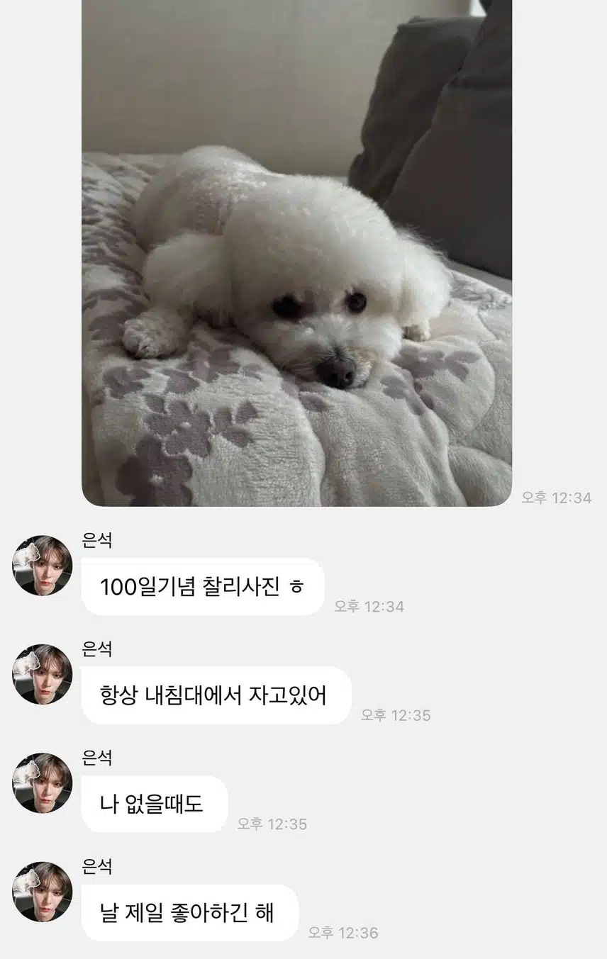 Foto Charlie yang dikirim Eunseok untuk merayakan hari ke-100 Bubble