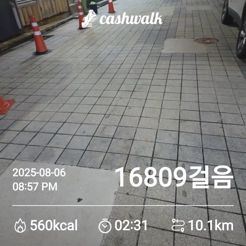 오늘도 만보걷기를....!