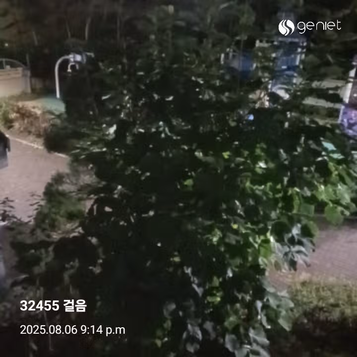 삼만보 걷기 