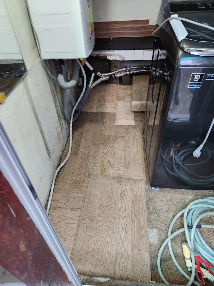 고양이 때문에 미쳐 버릴것 같네요😭