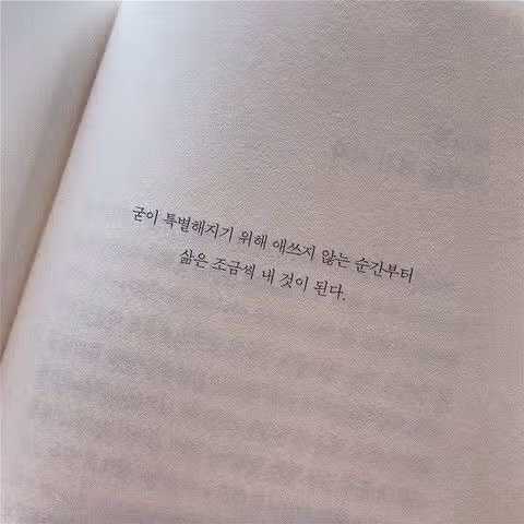 행복명언) 특별하지 않아도 행복할 수 있어🖤