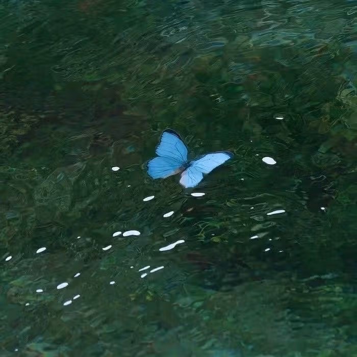 행복명언) 특별하지 않아도 행복할 수 있어🖤