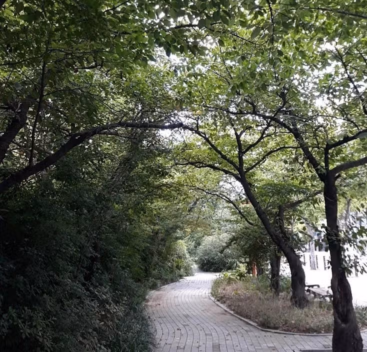오전 산책