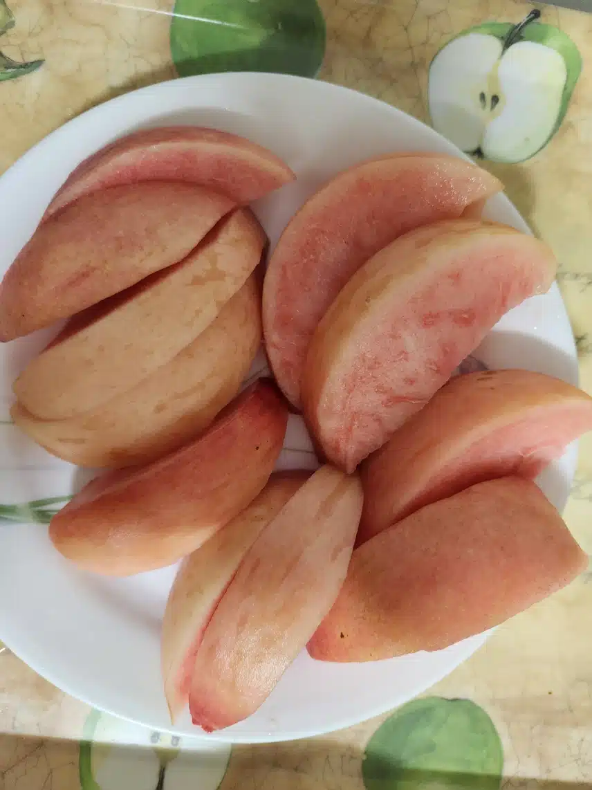 복숭아