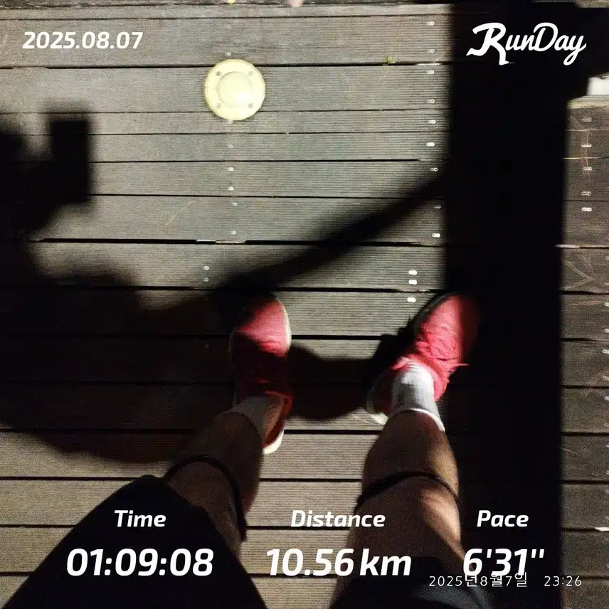 10km 즐겁게 달렸습니다🏃🏻‍♂️