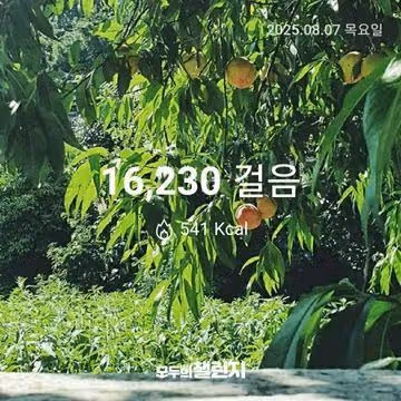 8월 7일 만육천보 완주