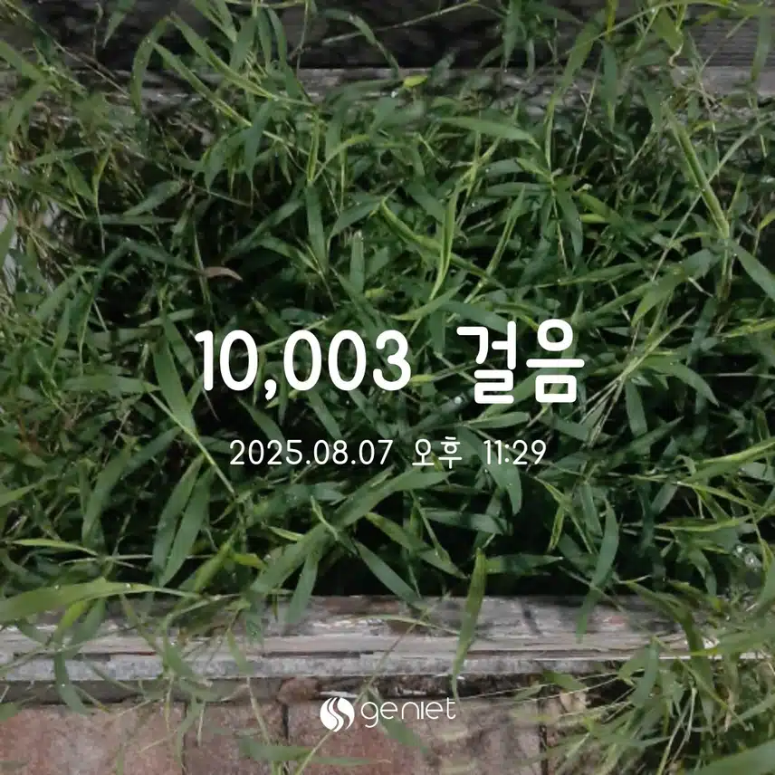 목 만보완료