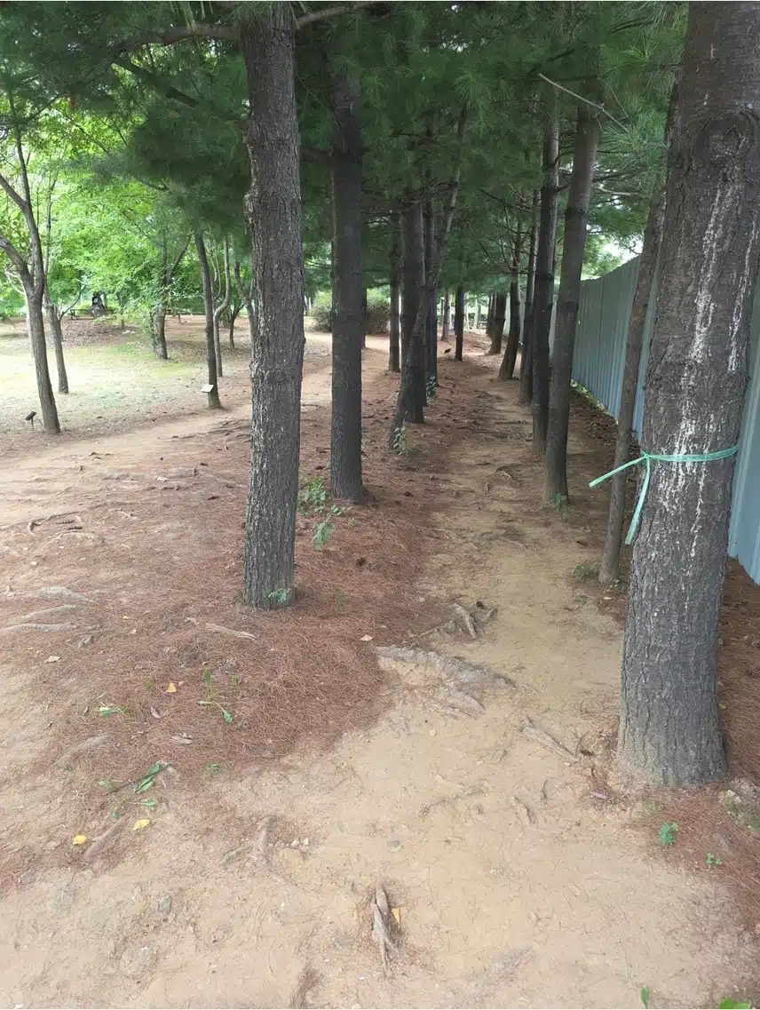 산책중 