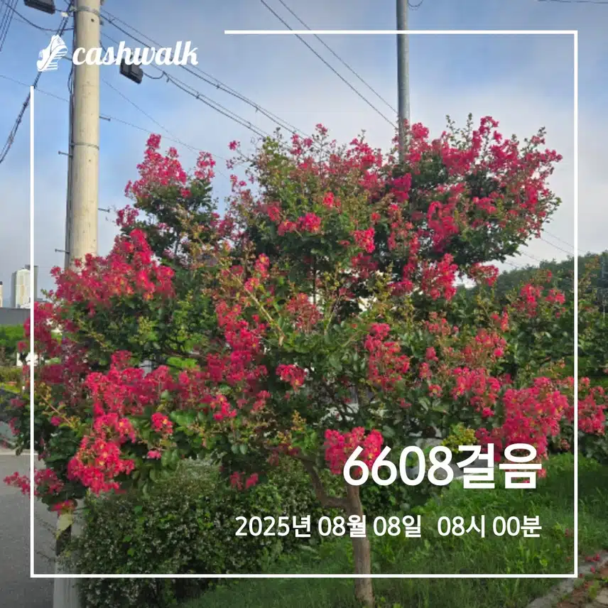 아침.산책 ♡