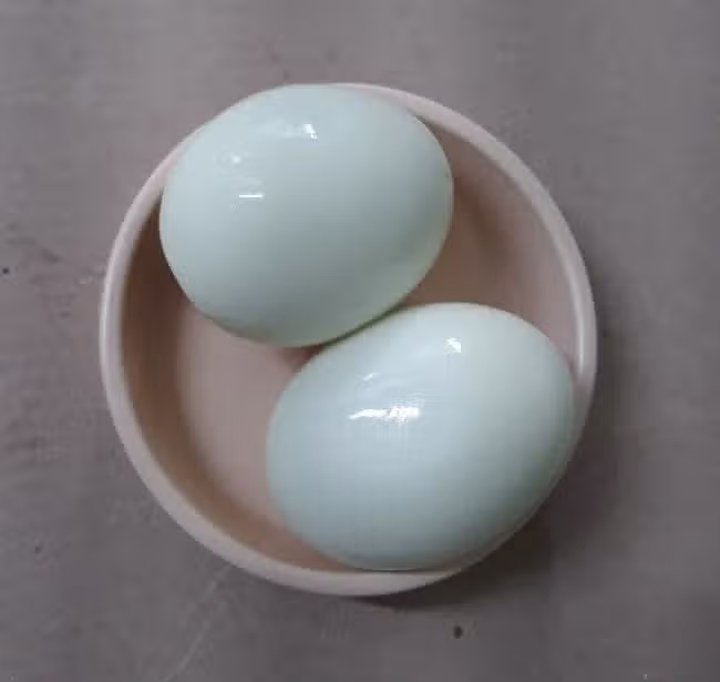 삶은계란