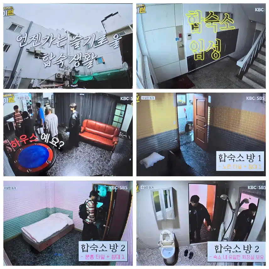 마이턴 수상한 동거