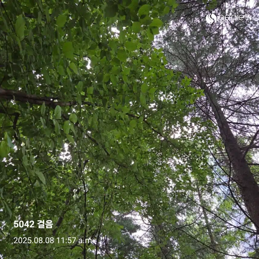오전 산책 