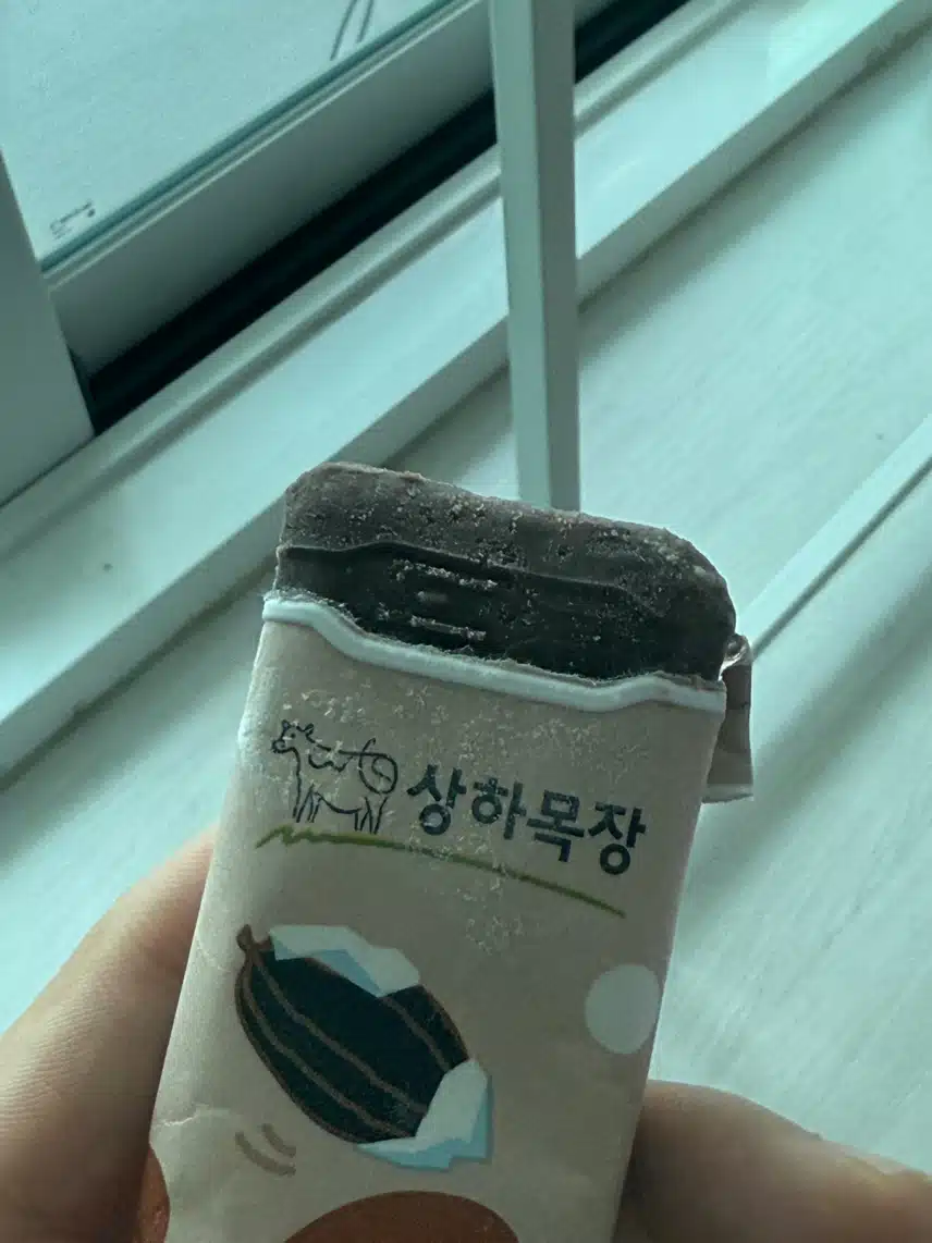 다이어트 간식은 상하목장 아이스크림❤️