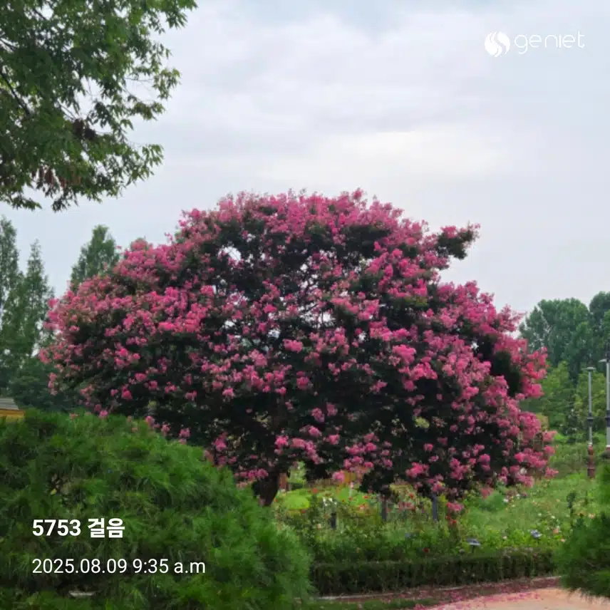 오전 운동