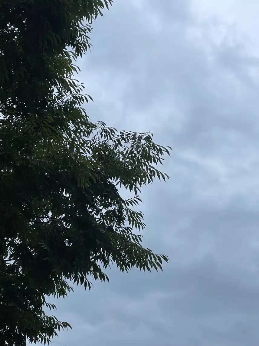 하늘 흐림