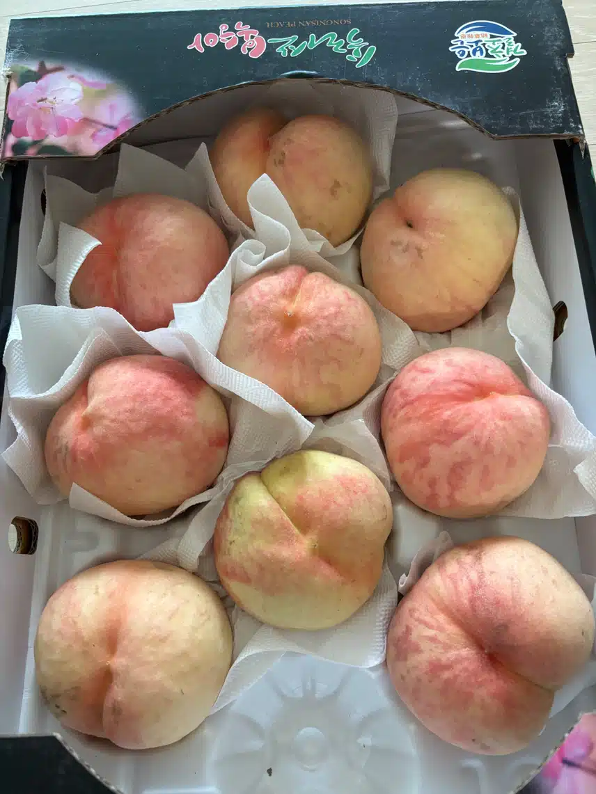 딱 복숭아🍑