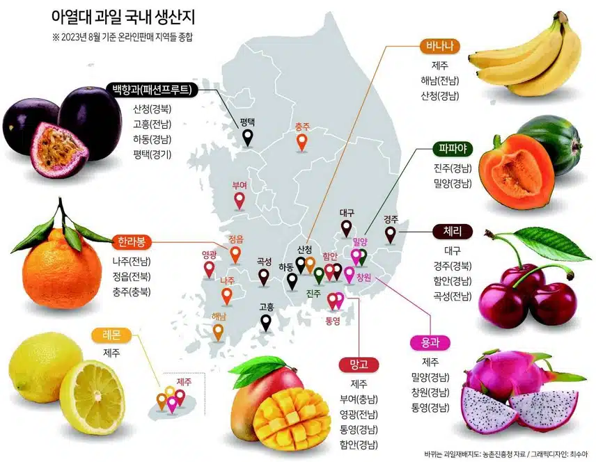 기후 위기가 바꾼 한반도 과일지도