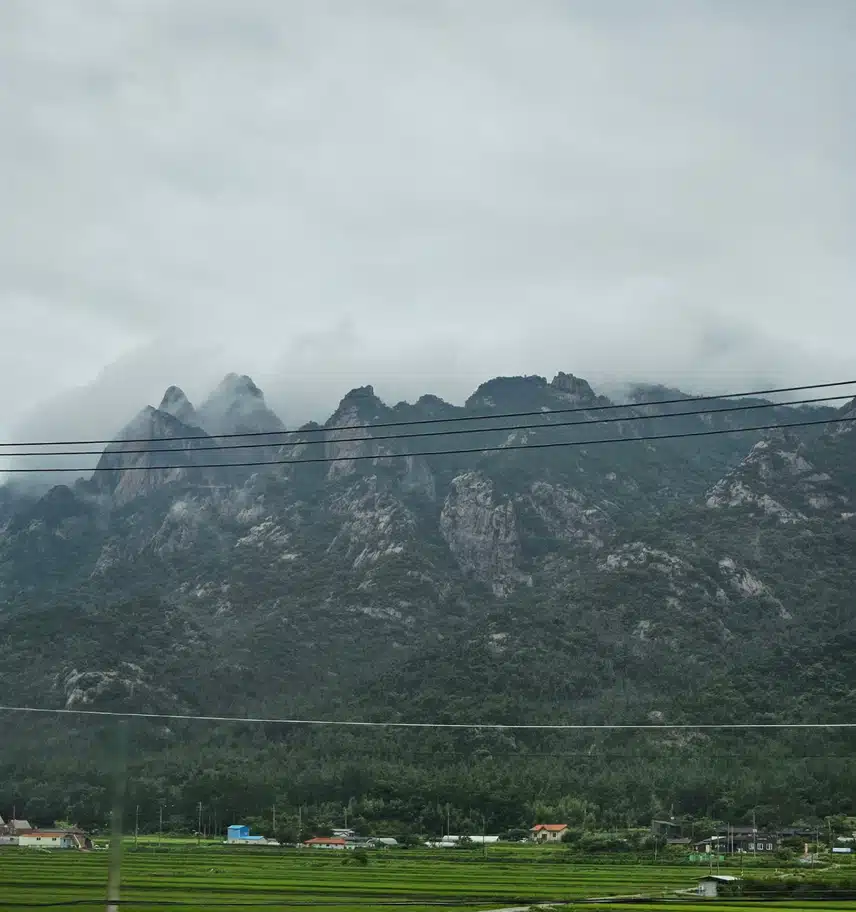 비 구름에 갇힌 월출산 지나서  ⛰️ 