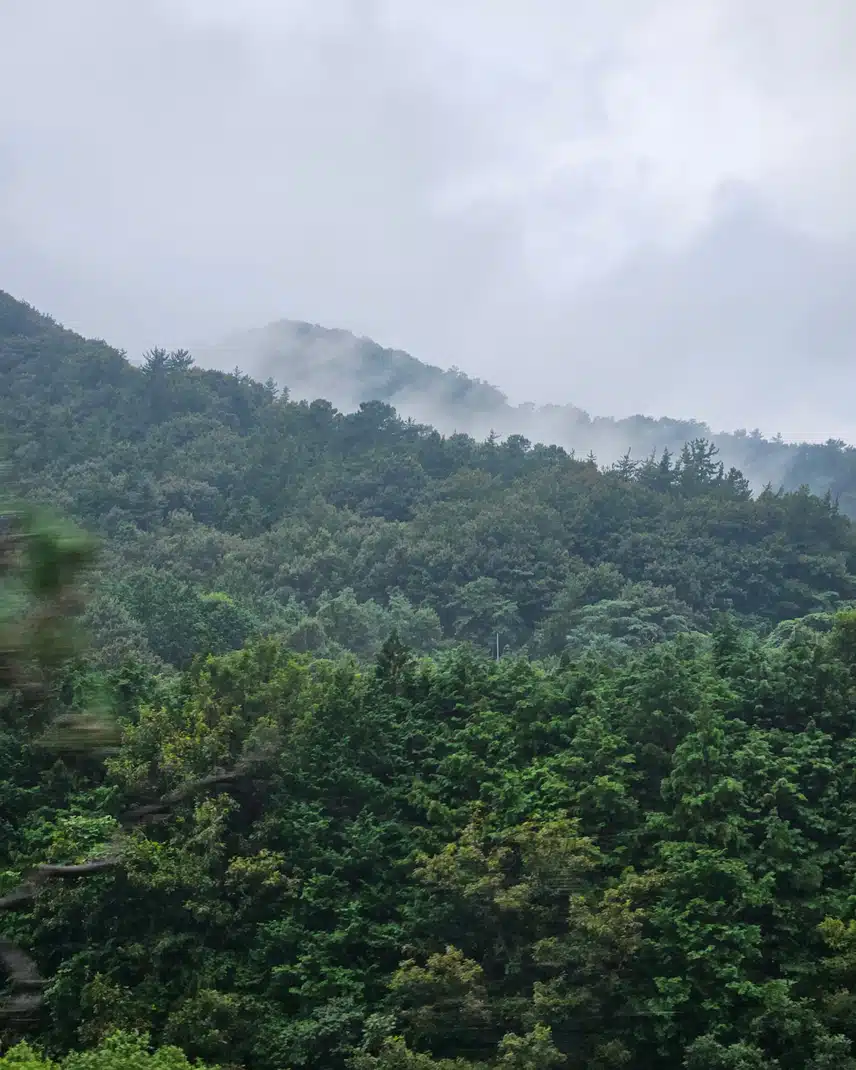 비 구름에 갇힌 월출산 지나서  ⛰️ 