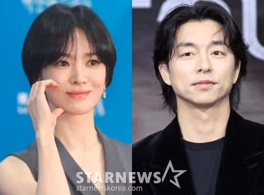 송혜교님 천천히 강렬하게 촬영스텝들에게 삼계탕 쐈네요