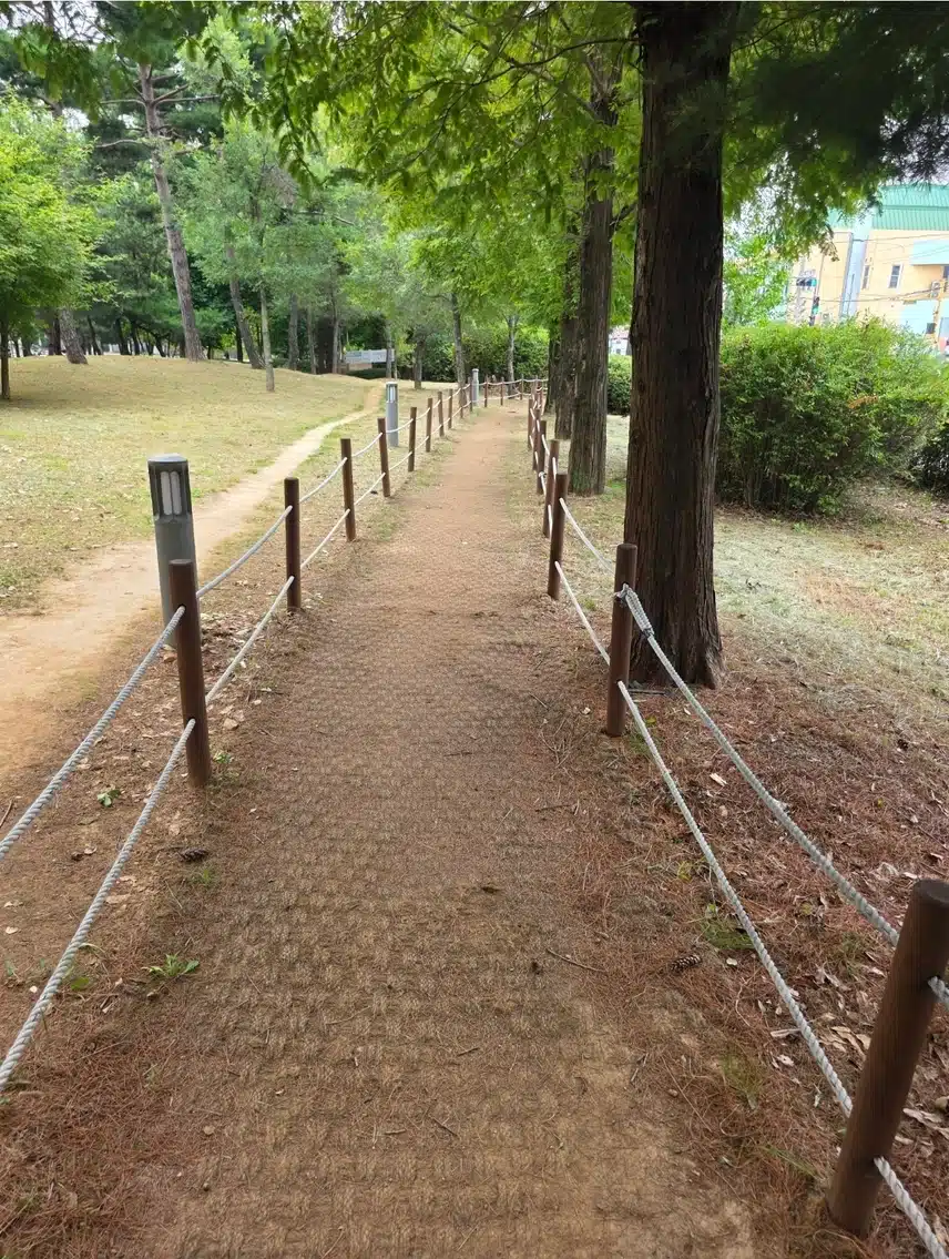 산책중 