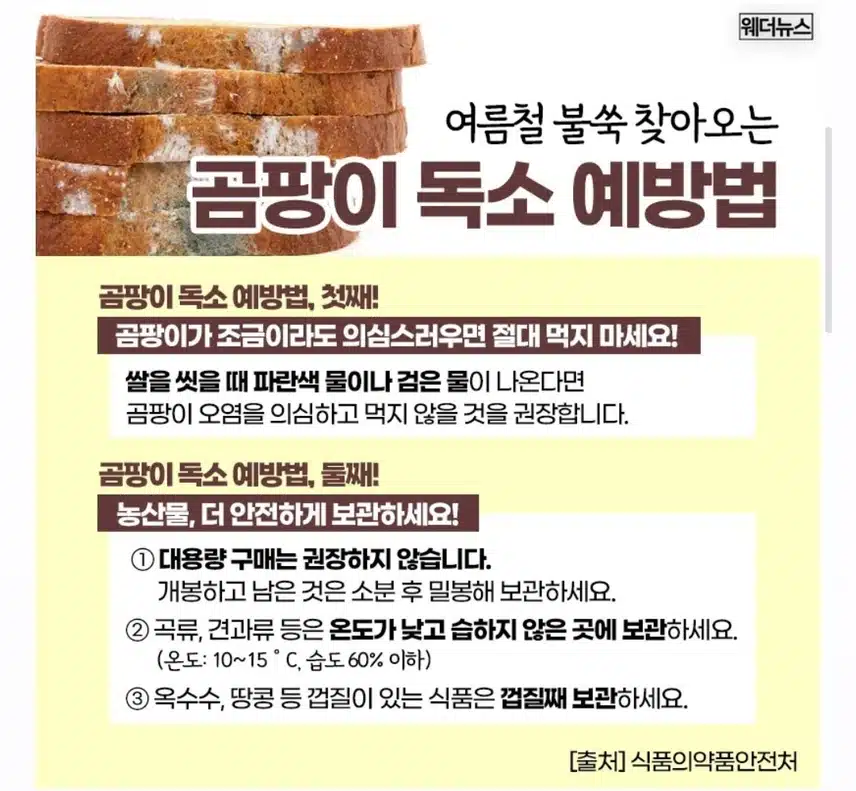 곰팡이 독소 예방